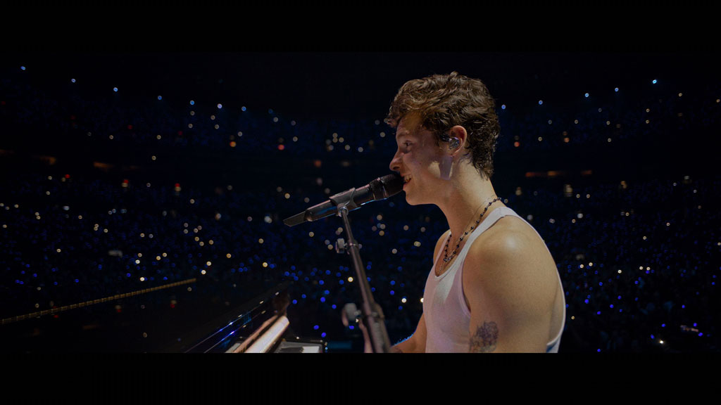 图片[4]-肖恩·门德斯：巡回演唱会纪实 Shawn Mendes Live in Concert 2020 [WEB-DL MKV 10.3GB]-蓝光演唱会资源网