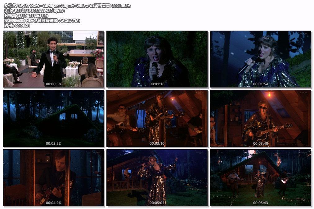 图片[5]-泰勒·斯威夫特 Taylor Swift – Cardigan+August+Willow 2021 (63届格莱美) [HDTV M2TS 1.21GB]-蓝光演唱会资源网
