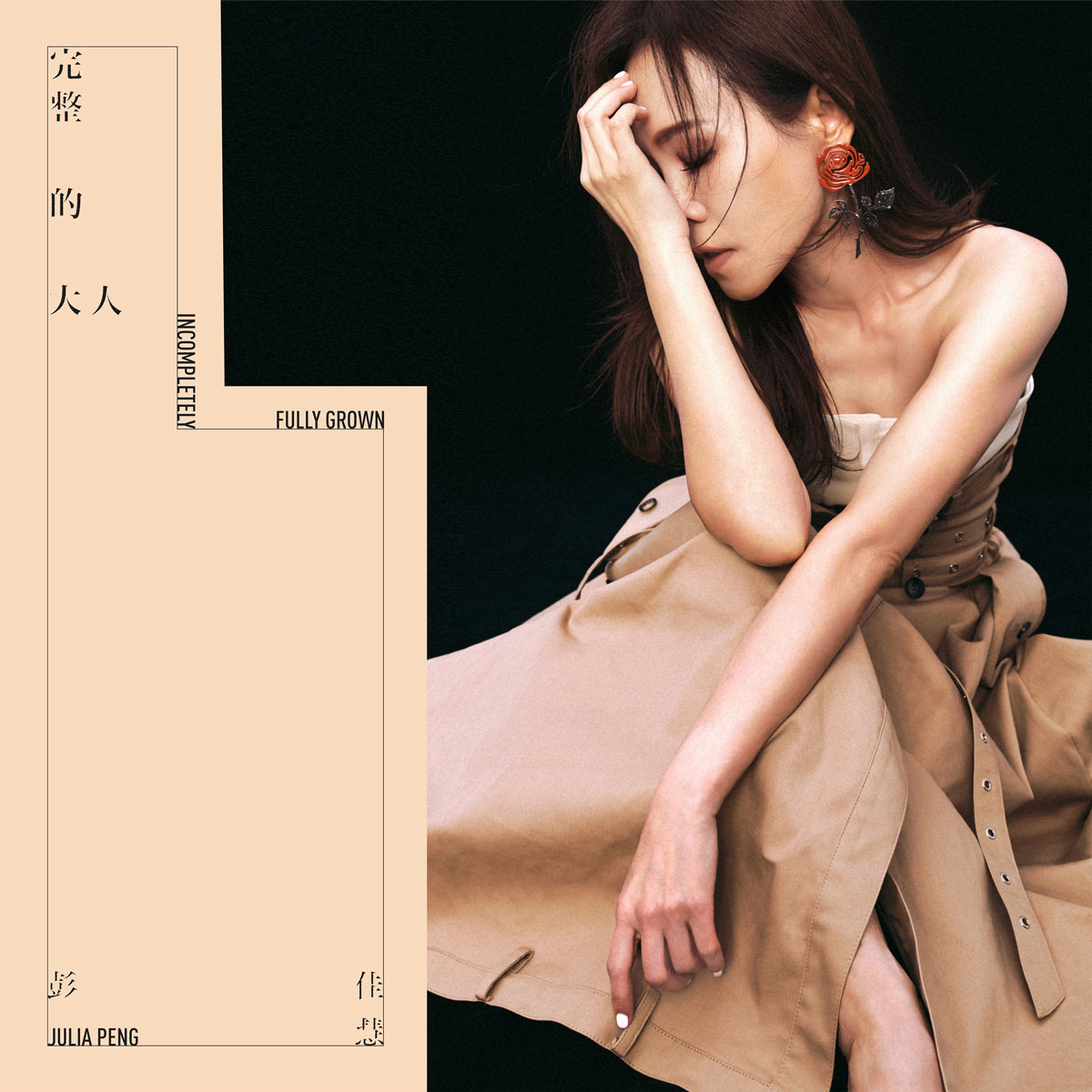 彭佳慧 – 完整的大人 2025 [24Bit/48kHz] [Hi-Res Flac 516MB]-蓝光演唱会资源网