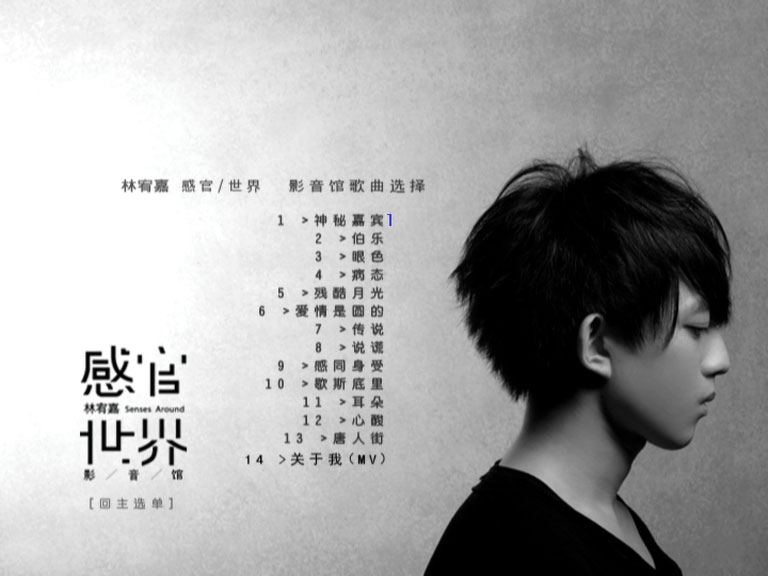 图片[3]-林宥嘉 – 感官世界影音馆 (内地版DVD) 14MV [DVD ISO 3.79GB]-蓝光演唱会资源网