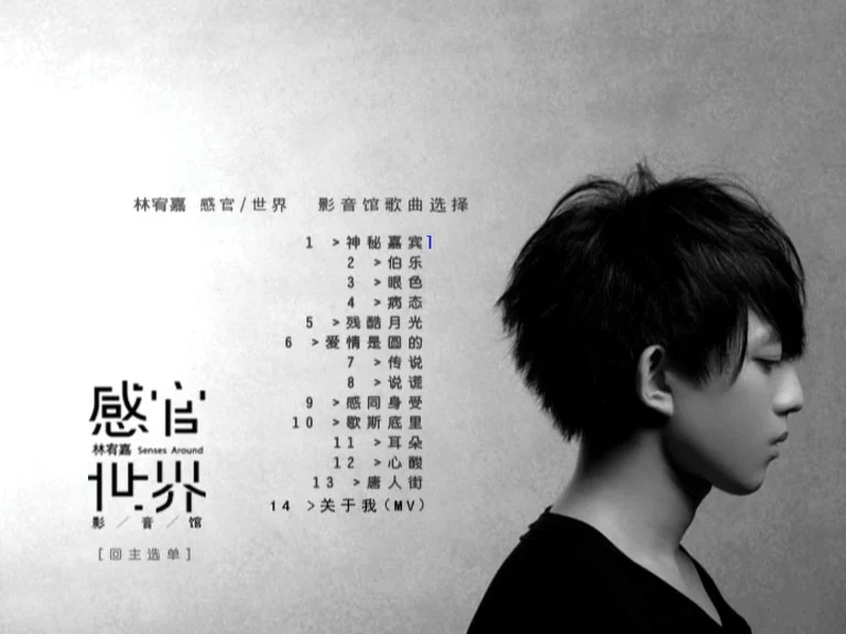 图片[3]-林宥嘉 – 感官世界影音馆 (内地版DVD) 14MV [DVD ISO 3.79GB]-蓝光演唱会资源网