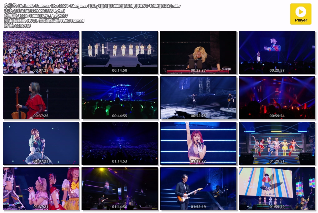 图片[3]-夏日漫音祭 Animelo Summer Live 2024 -Stargazer- [BDrip MKV 57.1GB]-蓝光演唱会资源网