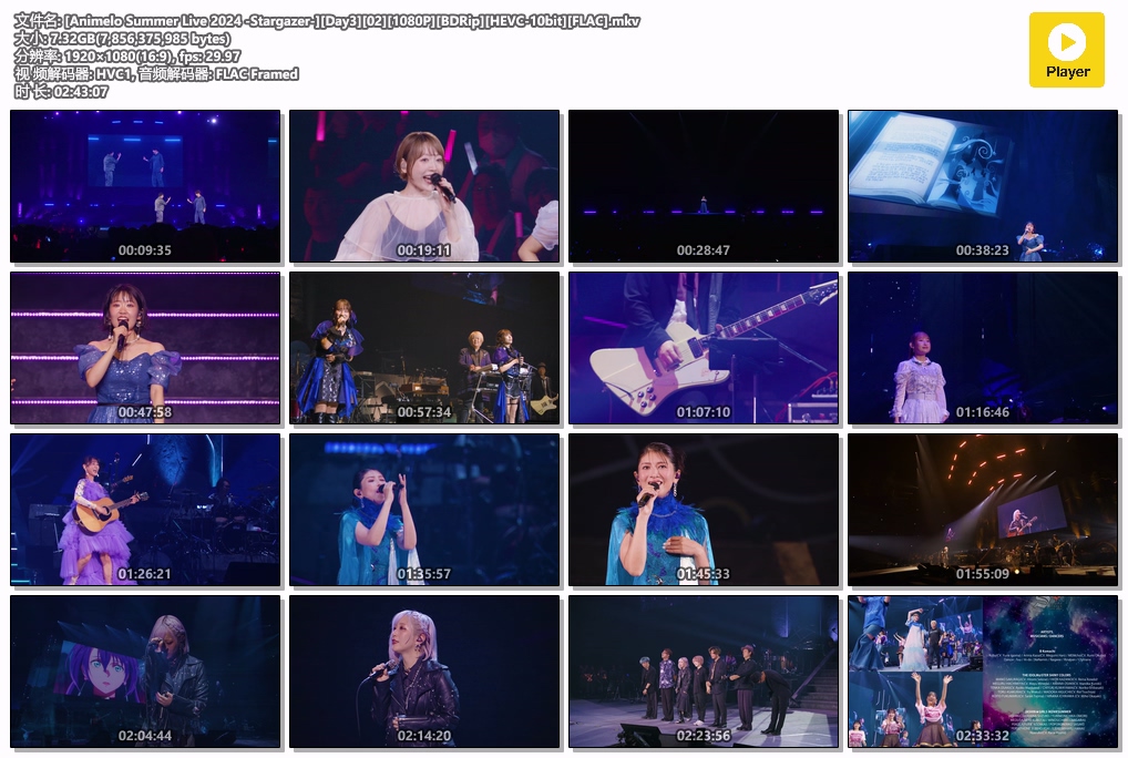 图片[8]-夏日漫音祭 Animelo Summer Live 2024 -Stargazer- [BDrip MKV 57.1GB]-蓝光演唱会资源网