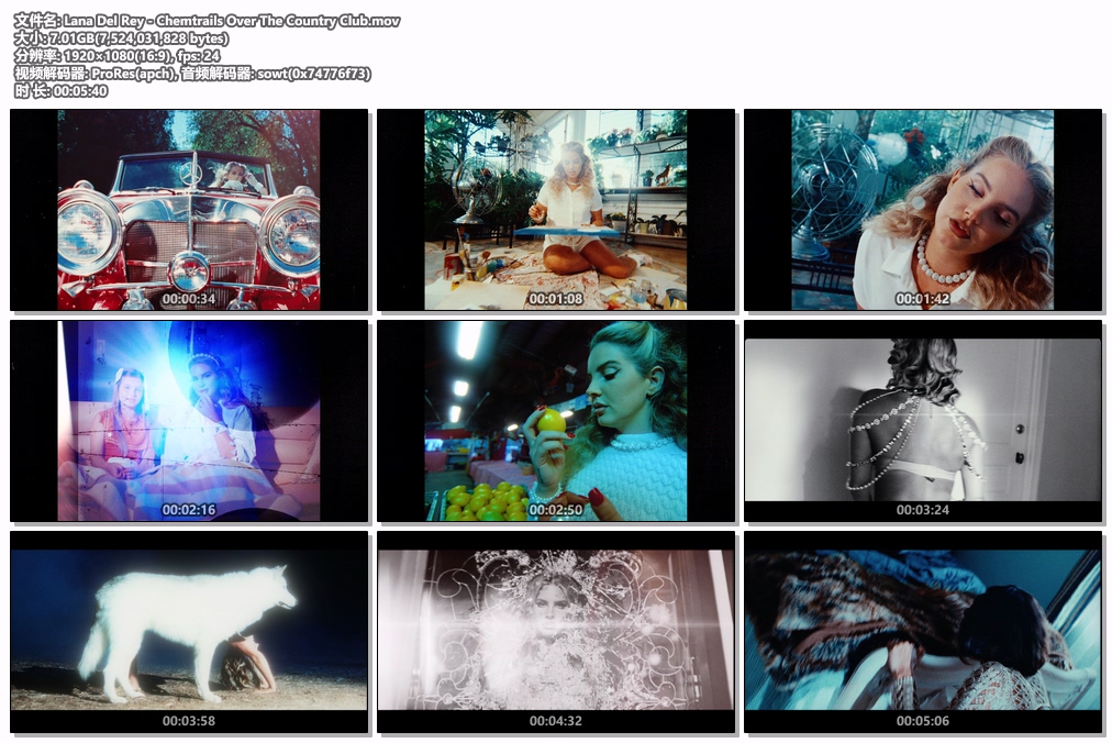 图片[2]-Lana Del Rey – Chemtrails Over The Country Club 1080P [ProRes MOV 7.01GB]-蓝光演唱会资源网