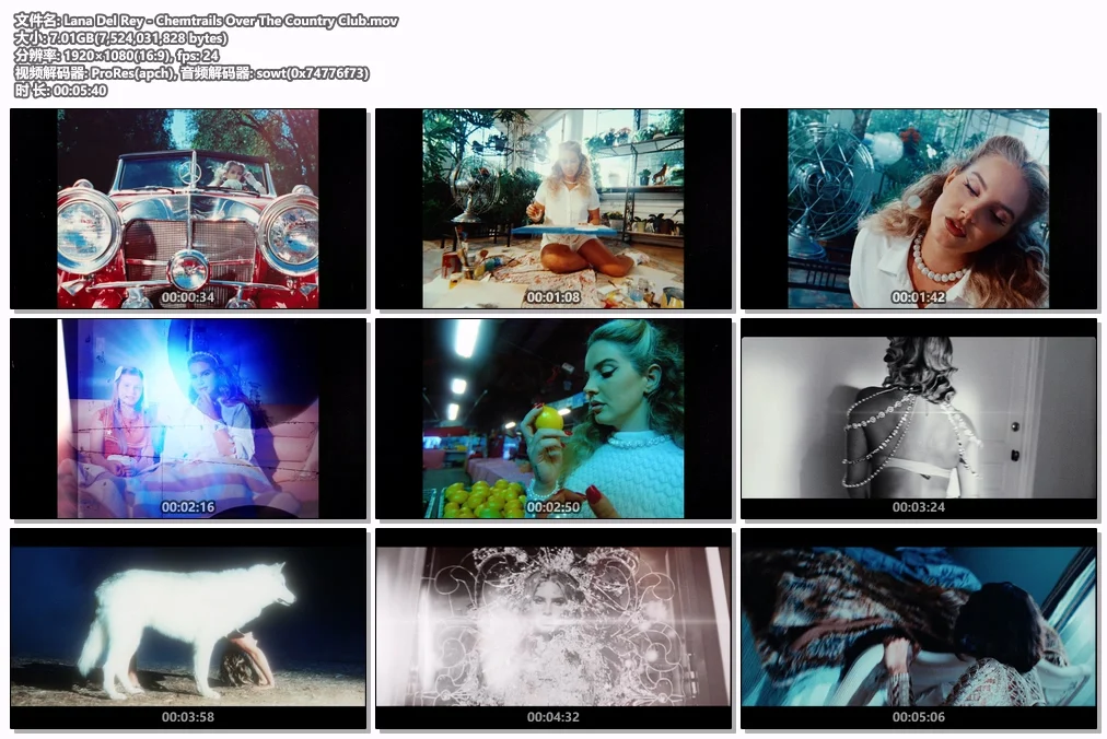 图片[2]-Lana Del Rey – Chemtrails Over The Country Club 1080P [ProRes MOV 7.01GB]-蓝光演唱会资源网