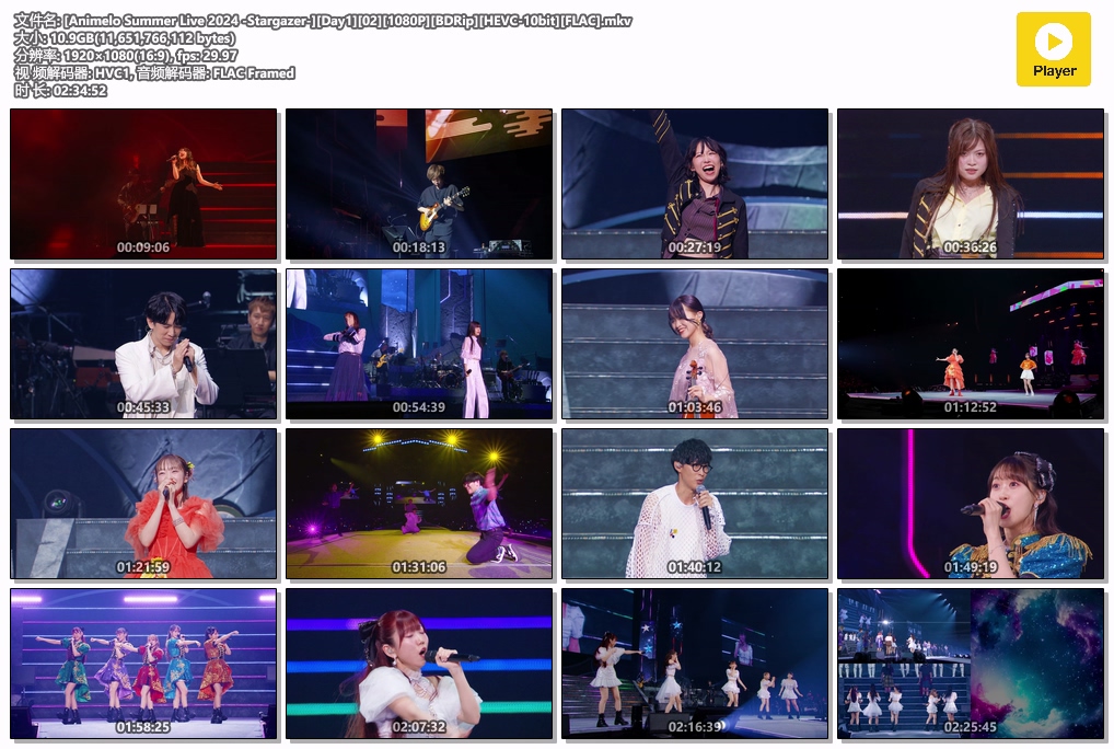 图片[4]-夏日漫音祭 Animelo Summer Live 2024 -Stargazer- [BDrip MKV 57.1GB]-蓝光演唱会资源网