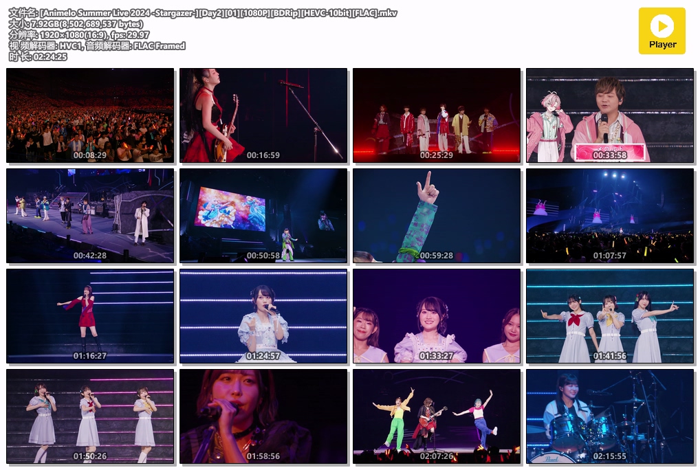图片[5]-夏日漫音祭 Animelo Summer Live 2024 -Stargazer- [BDrip MKV 57.1GB]-蓝光演唱会资源网