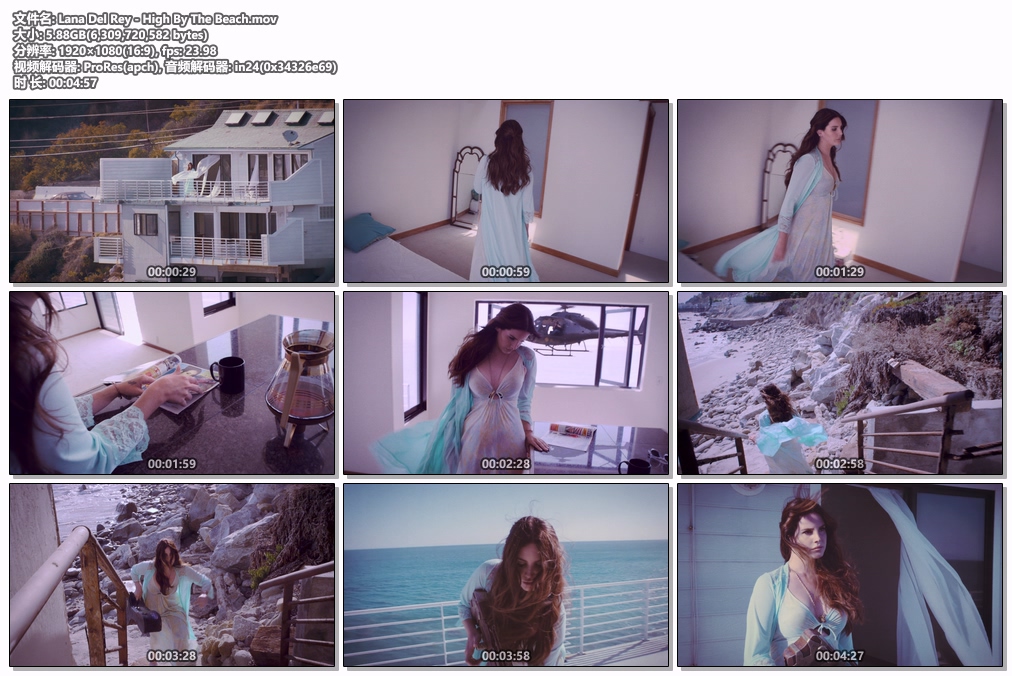 图片[2]-Lana Del Rey – High By The Beach 1080P [ProRes MOV 5.88GB]-蓝光演唱会资源网
