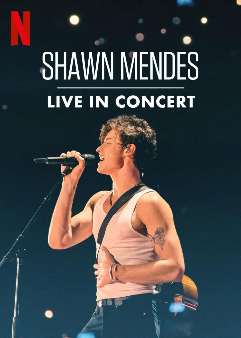 肖恩·门德斯：巡回演唱会纪实 Shawn Mendes Live in Concert 2020 [WEB-DL MKV 10.3GB]-蓝光演唱会资源网