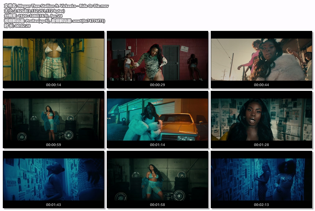 图片[2]-Megan Thee Stallion ft. VickeeLo – Ride Or Die [ProRes MOV 2.92GB]-蓝光演唱会资源网