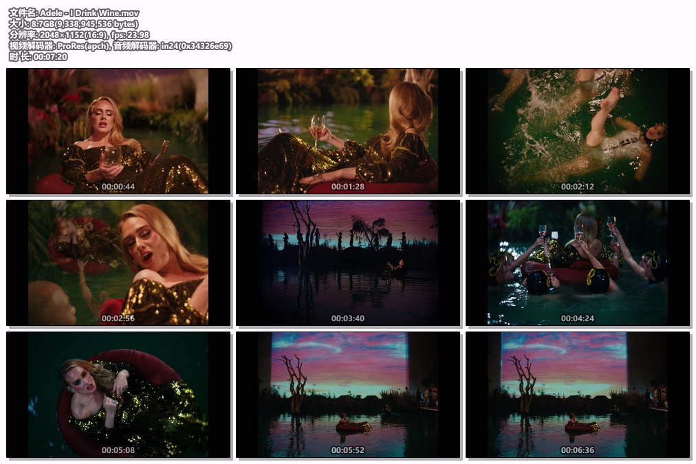 图片[2]-阿黛尔 Adele – I Drink Wine 1080P [ProRes MOV 8.7GB]-蓝光演唱会资源网