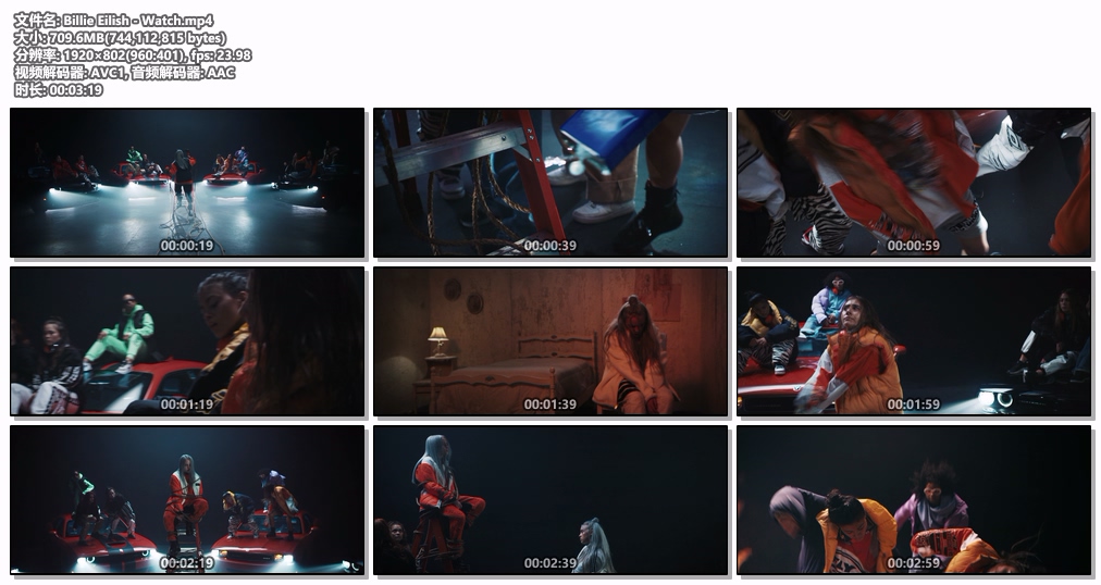 图片[2]-Billie Eilish – Watch 1080P [WEB-DL MP4 709MB]-蓝光演唱会资源网
