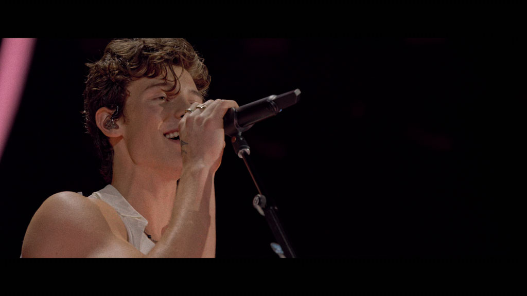 图片[2]-肖恩·门德斯：巡回演唱会纪实 Shawn Mendes Live in Concert 2020 [WEB-DL MKV 10.3GB]-蓝光演唱会资源网
