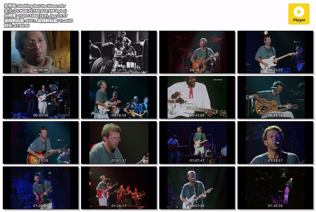 图片[2]-埃里克·克莱普顿 惟有蓝调 Eric Clapton – Nothing But The Blues 1994 [Remux MKV 26.9GB]-蓝光演唱会资源网