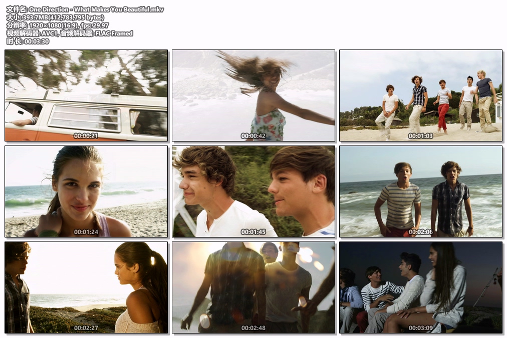 图片[2]-One Direction – What Makes You Beautiful 1080P [WEB-DL MKV 393.7MB]-蓝光演唱会资源网