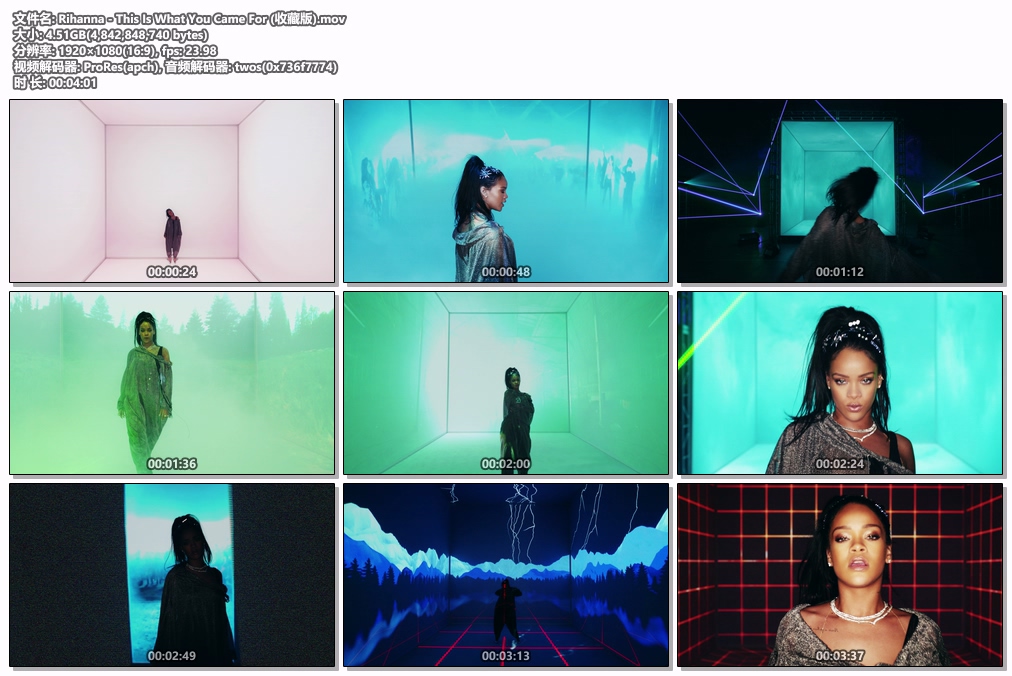 图片[2]-蕾哈娜 Rihanna – This Is What You Came For 1080P [ProRes MOV 4.51GB]-蓝光演唱会资源网