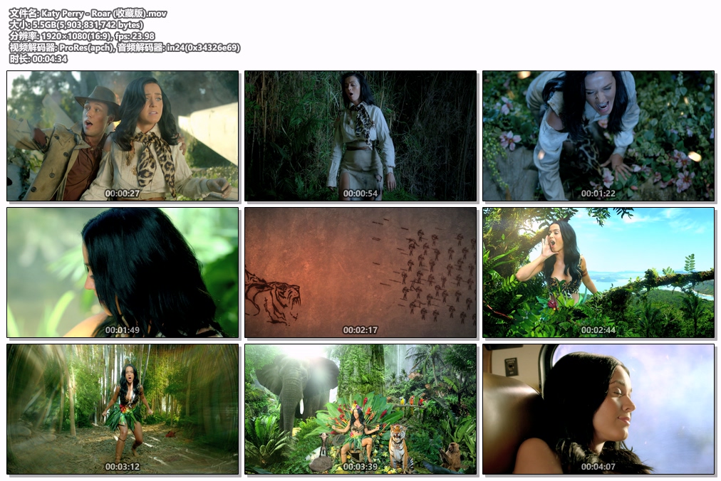 图片[2]-凯蒂·佩芮 Katy Perry – Roar 1080P [ProRes MOV 5.5GB]-蓝光演唱会资源网
