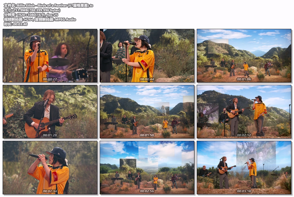 图片[2]-怪奇比莉 Billie Eilish – Birds of a Feather  [67届格莱美] [HDTV TS 751MB]-蓝光演唱会资源网