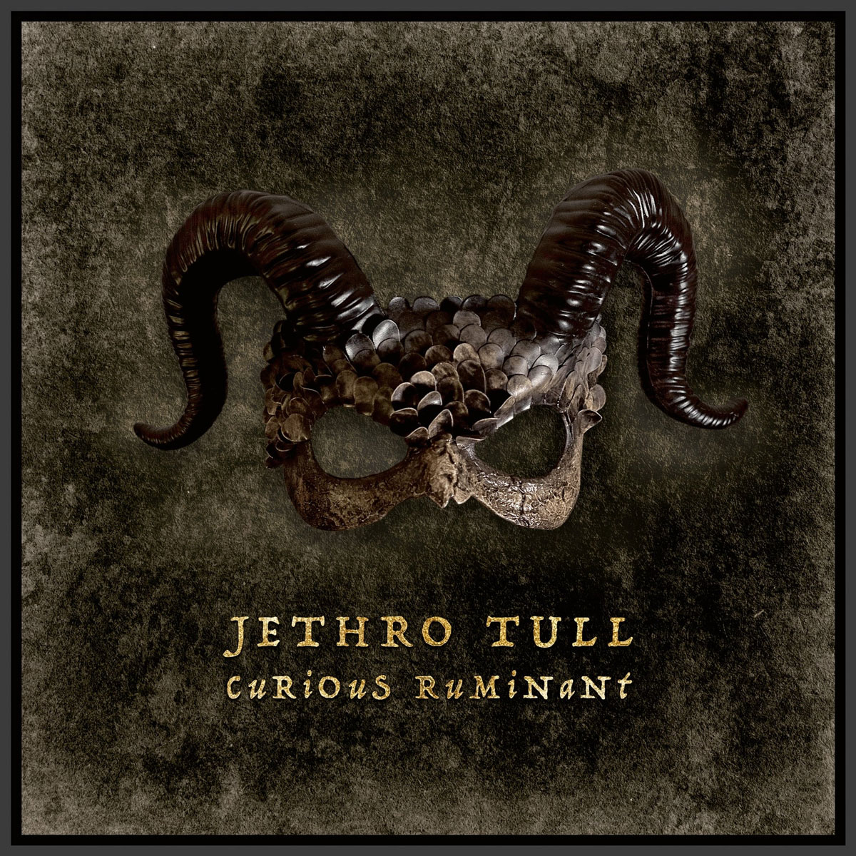 杰思罗·塔尔乐队 Jethro Tull – Curious Ruminant 2025 2CD+1BD [BDISO 21GB]-蓝光演唱会资源网