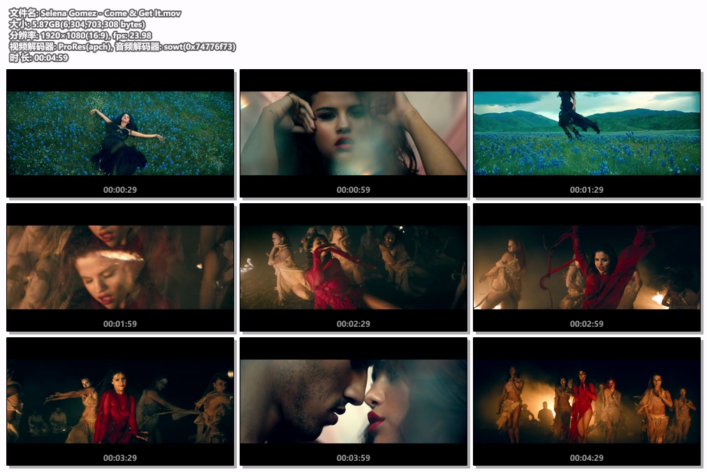 图片[2]-赛琳娜·戈麦斯 Selena Gomez – Come & Get It 1080P [ProRes MOV 5.87GB]-蓝光演唱会资源网