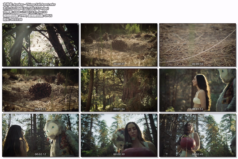 图片[2]-Ayokay – Things Fall Apart [2160P 4K] [WEB-DL MKV 325.8MB]-蓝光演唱会资源网
