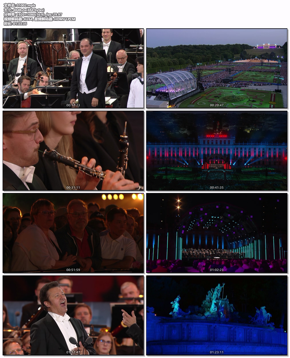 图片[6]-2025维也纳美泉宫夏夜音乐会 Sommernachtskonzert – Summer Night Concert 2025 [BDMV 20.8GB]-蓝光演唱会资源网