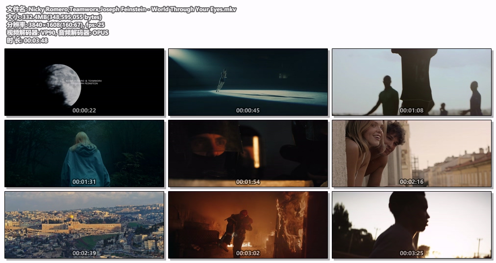 图片[2]-Nicky Romero,Teamworx,Joseph Feinstein – World Through Your Eyes 1080P [WEB-DL MKV 332.4]-蓝光演唱会资源网