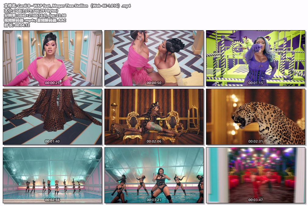 图片[2]-Cardi B – WAP feat_ Megan Thee Stallion [2160P 4K] [WEB-DL MP4 1GB]-蓝光演唱会资源网