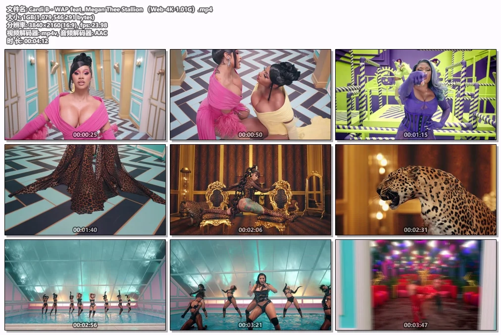 图片[2]-Cardi B – WAP feat_ Megan Thee Stallion [2160P 4K] [WEB-DL MP4 1GB]-蓝光演唱会资源网