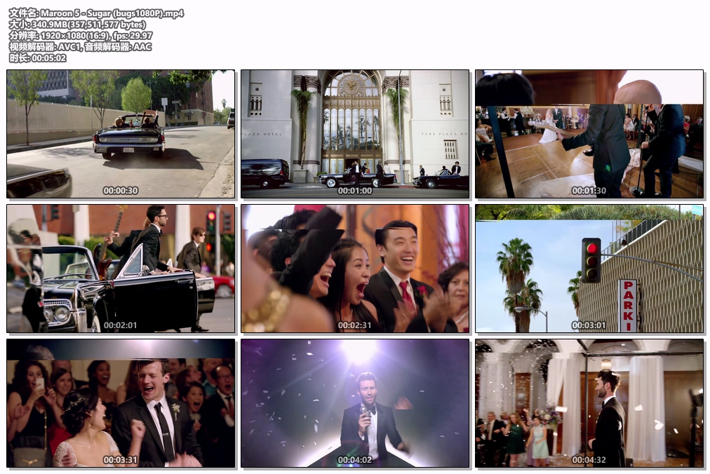 图片[2]-魔力红 Maroon 5 – Sugar 1080P [Bugs MP4 340.9MB]-蓝光演唱会资源网
