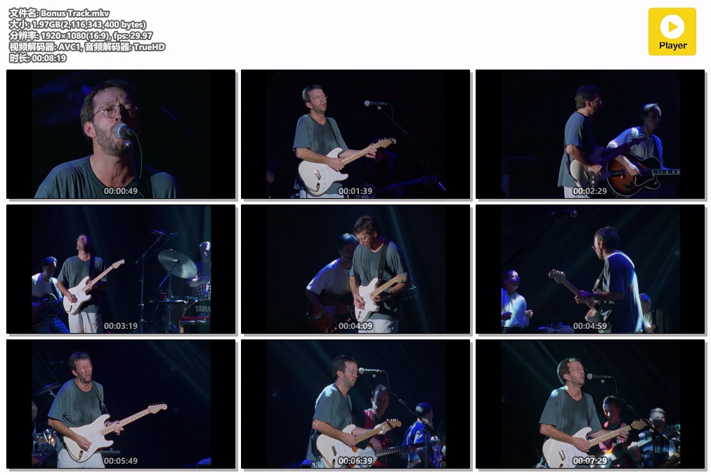 图片[3]-埃里克·克莱普顿 惟有蓝调 Eric Clapton – Nothing But The Blues 1994 [Remux MKV 26.9GB]-蓝光演唱会资源网