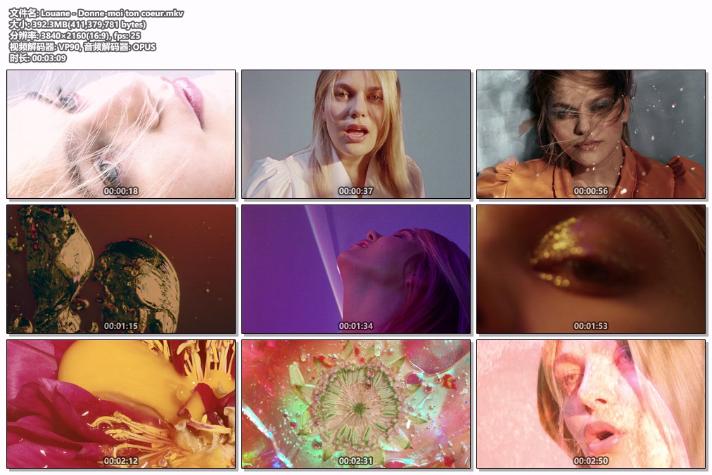 图片[2]-露安·艾梅哈 Louane – Donne-moi ton coeur [WEB-DL MKV 392.3MB]-蓝光演唱会资源网