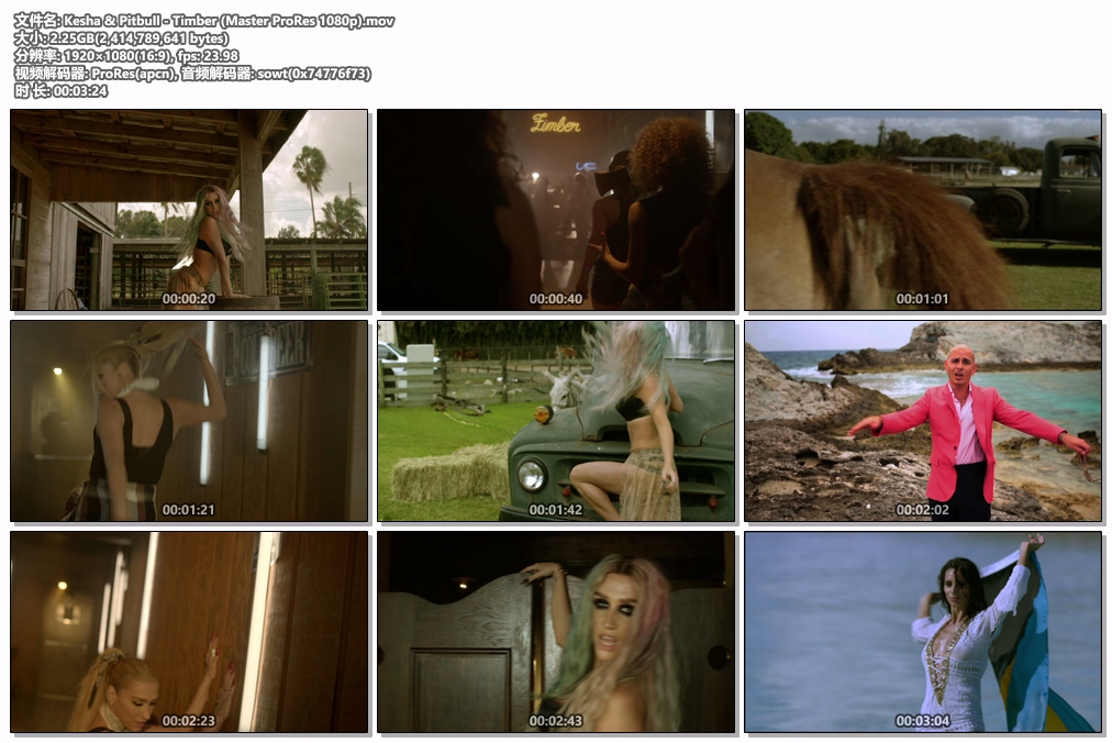 图片[2]-嘻哈斗牛梗 Kesha & Pitbull – Timber 1080P [ProRes MOV 2.25GB]-蓝光演唱会资源网