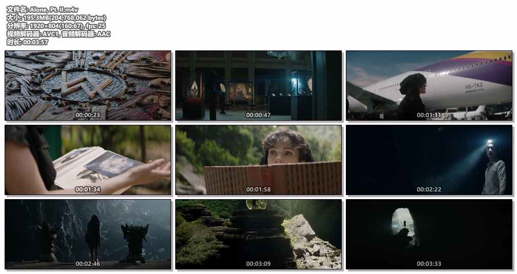 图片[2]-Alan Walker & Ava Max – Alone, Pt. II (官方双版本) [WEB-DL M4V 651MB]-蓝光演唱会资源网