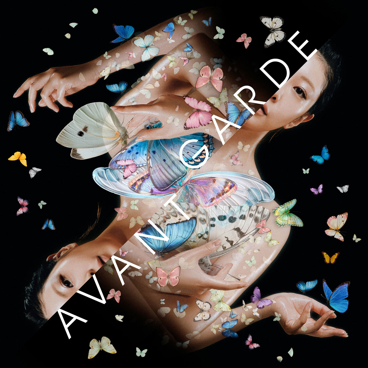 リトルブラックドレス – アヴァンギャルド Little Black Dress – AVANTGARDE [2025.07.23] [24Bit/96kHz] [Hi-Res Flac 553MB]-蓝光演唱会资源网